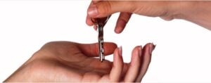 contrato de arriendo
