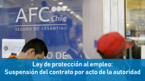 protección empleo