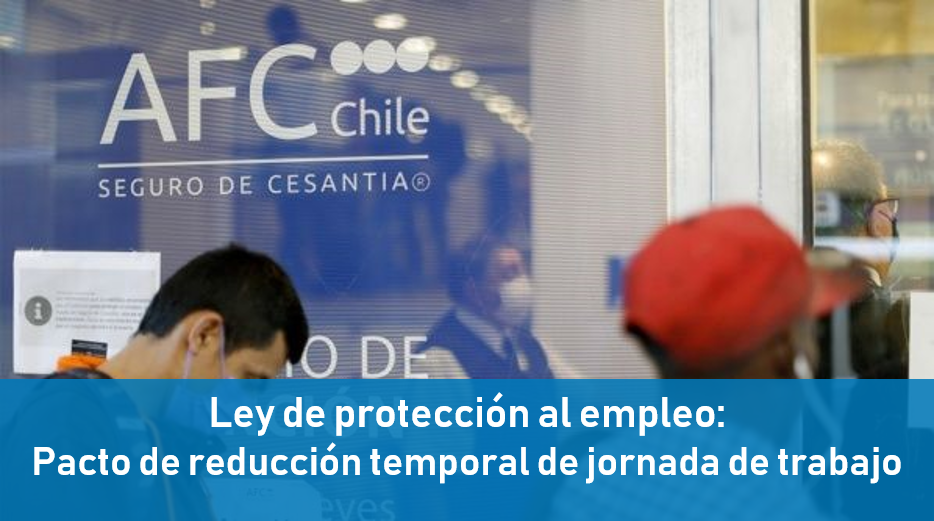 protección empleo2